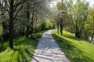 Footpath in spring, Karlsruhe, Germany Footpath in spring, Karlsruhe, Germany